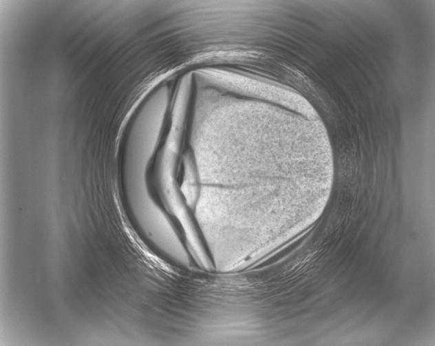 X0000051860844200507221855