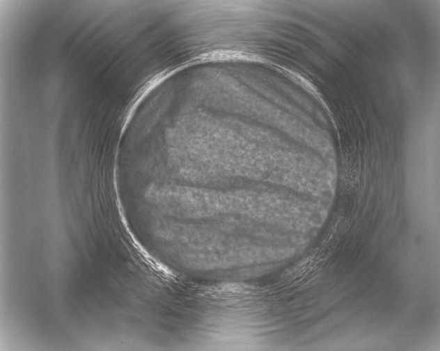 X0000051860847200507221855