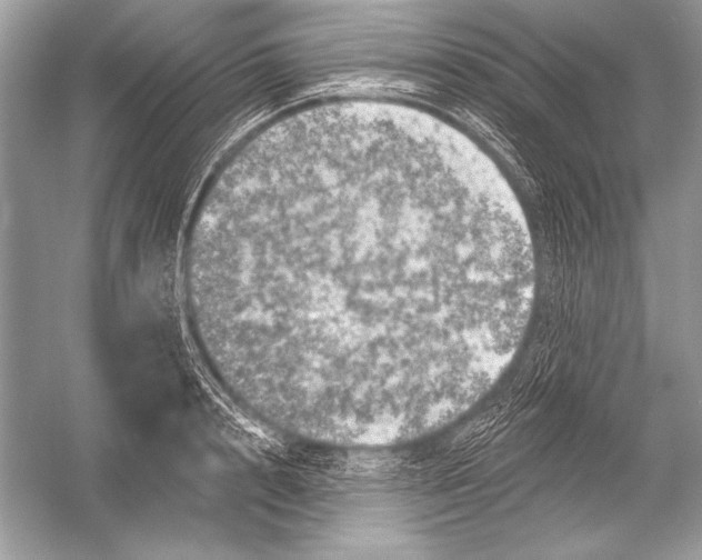 X0000051860848200507221855