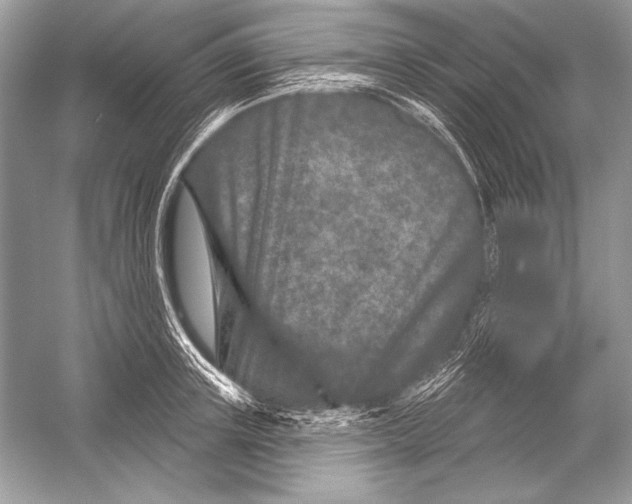 X0000051860851200507221855