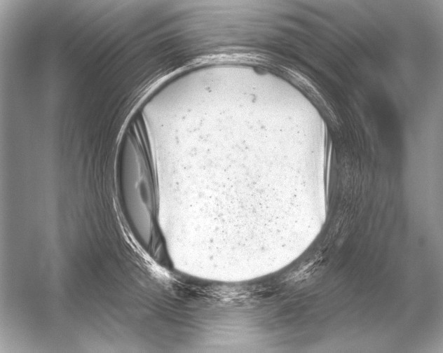 X0000051860852200507221855