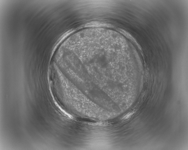 X0000051860855200507221855