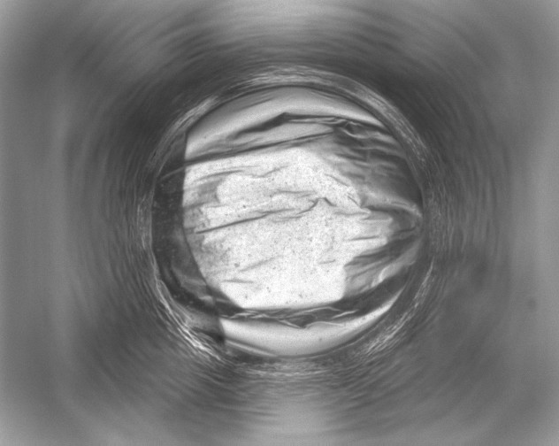 X0000051860857200507221855