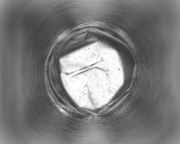 X0000051860858200507221855