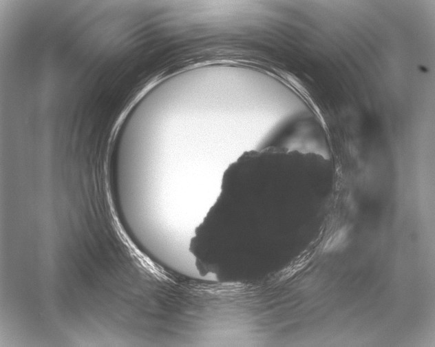 X0000051860859200507221855