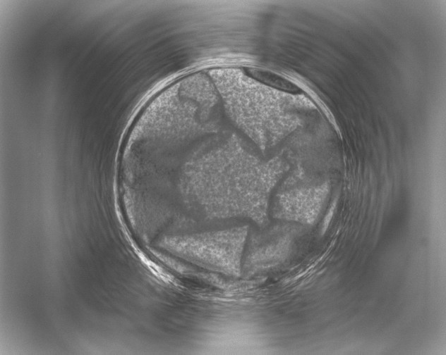 X0000051860861200507221855