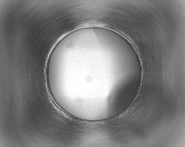 X0000051860864200507221855