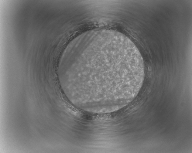 X0000051860865200507221854