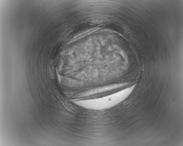 X0000051860868200507221854