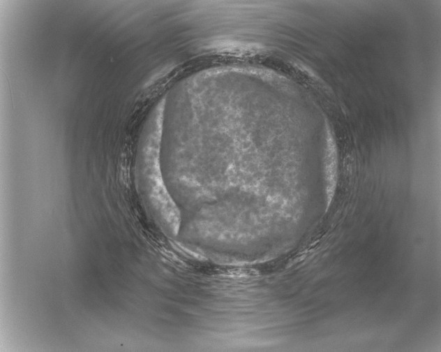 X0000051860869200507221854