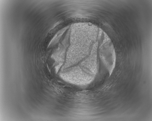 X0000051860870200507221854