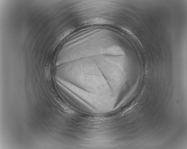 X0000051860873200507221854