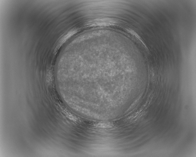 X0000051860874200507221854