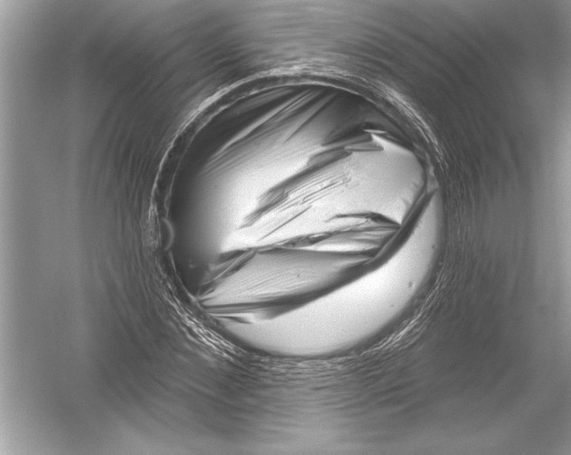 X0000051860876200507221854