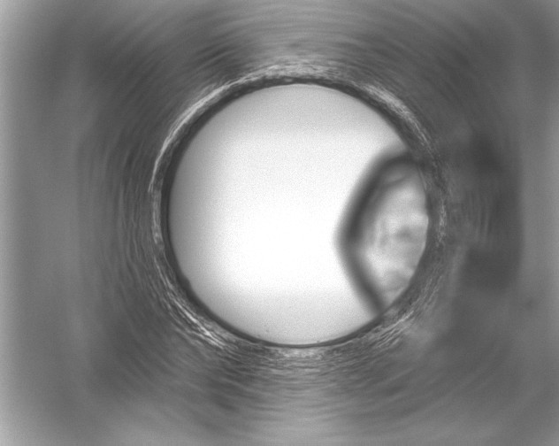 X0000051860878200507221854