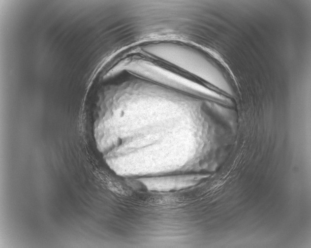 X0000051860879200507221854