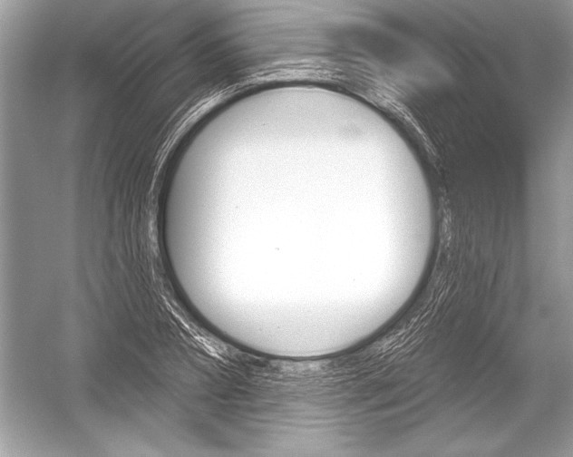 X0000051860882200507221854