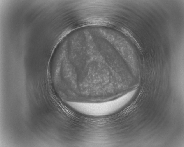 X0000051860883200507221854