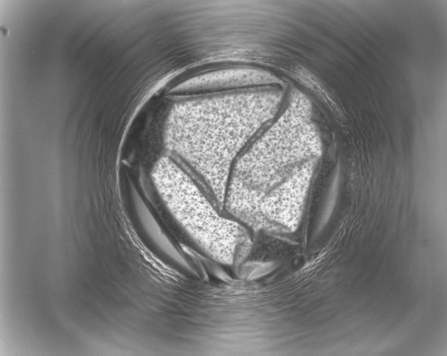 X0000051860884200507221854