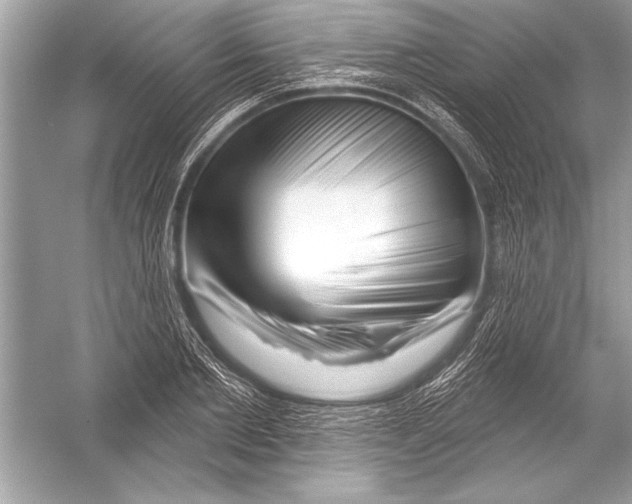 X0000051860885200507221854