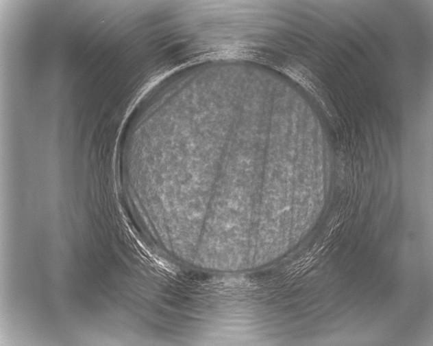 X0000051860886200507221854