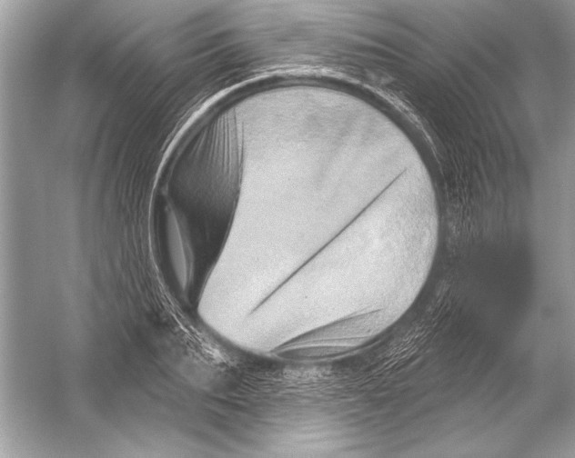 X0000051860887200507221854