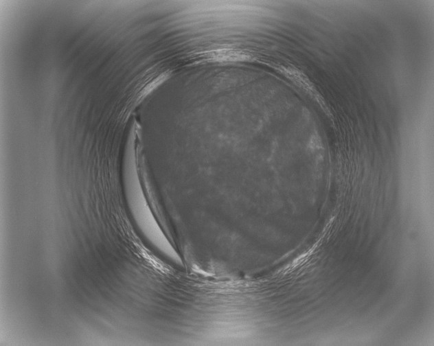 X0000051860889200507221854