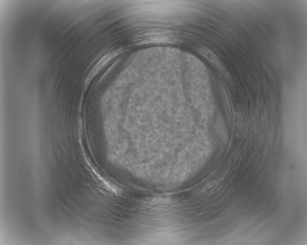 X0000051860890200507221854