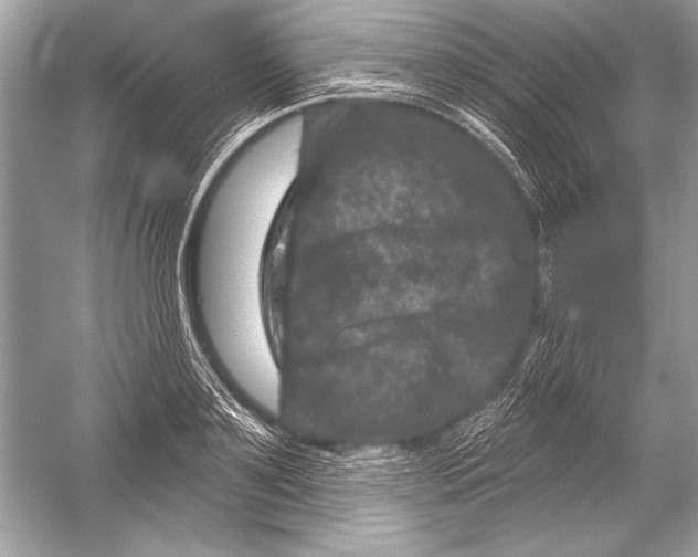 X0000051860891200507221854