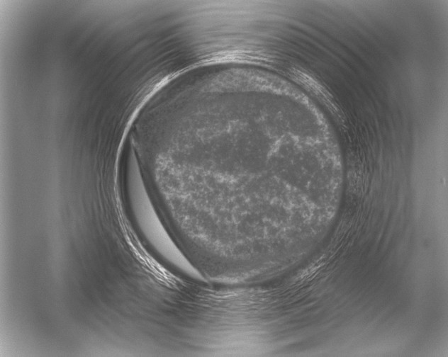 X0000051860892200507221854