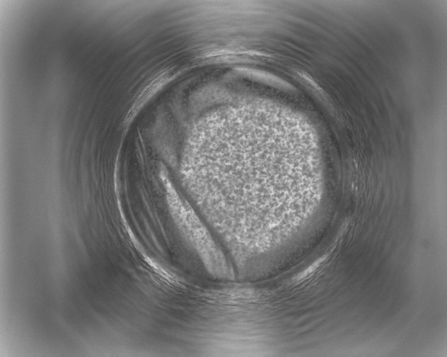 X0000051860893200507221854