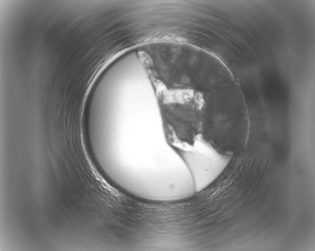 X0000051860895200507221854