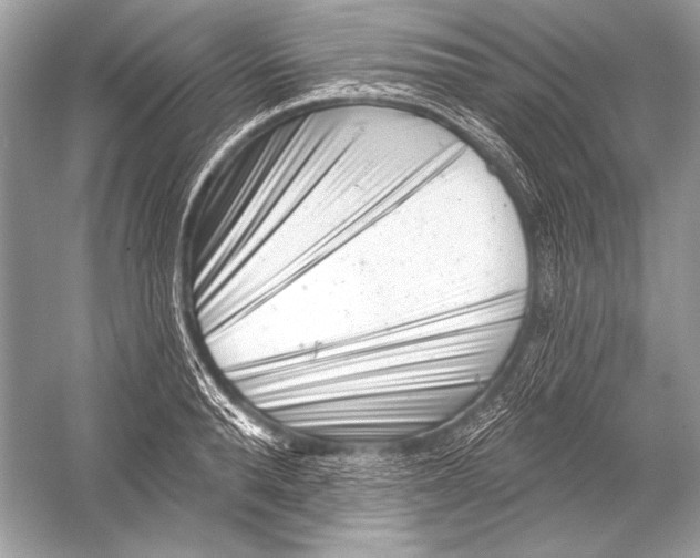 X0000051860896200507221854