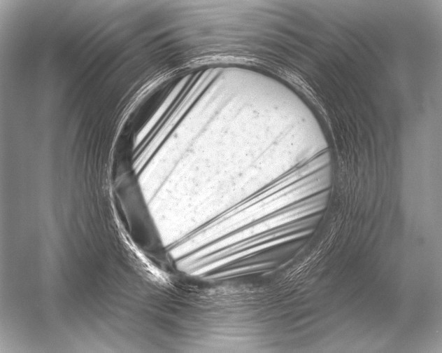 X0000051860898200507221854