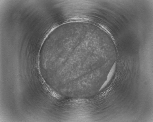 X0000051860899200507221854