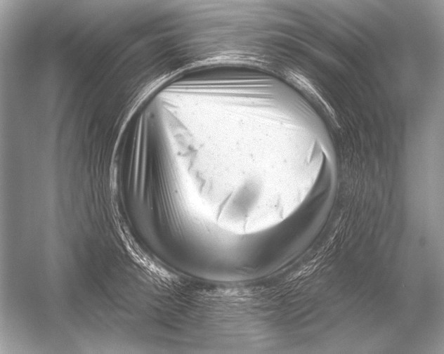 X0000051860900200507221854