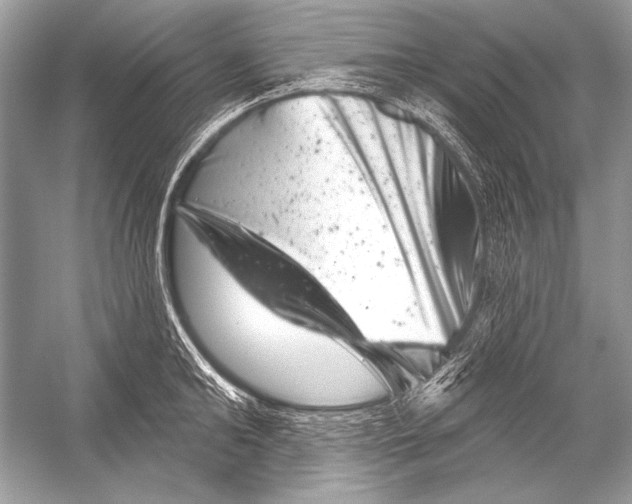 X0000051860902200507221854