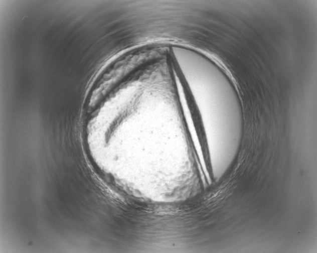 X0000051860903200507221854