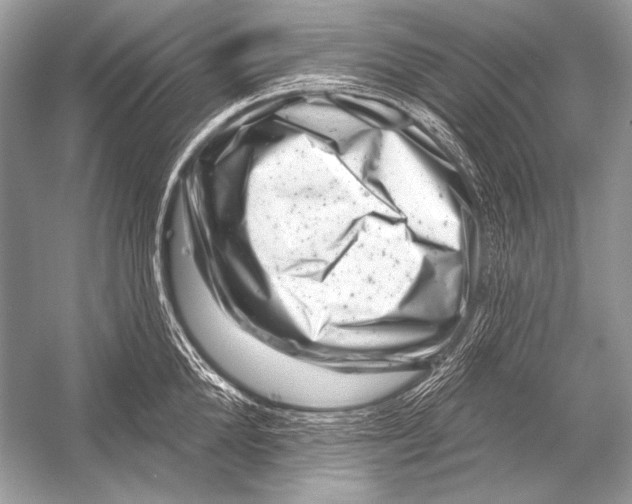 X0000051860904200507221854