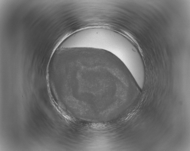 X0000051860907200507221853