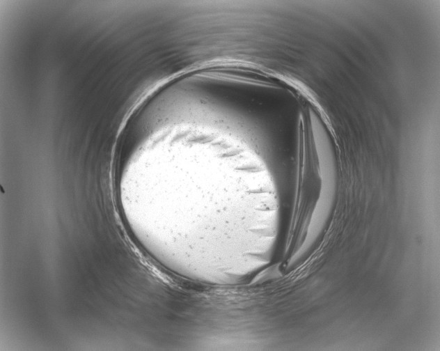 X0000051860910200507221853