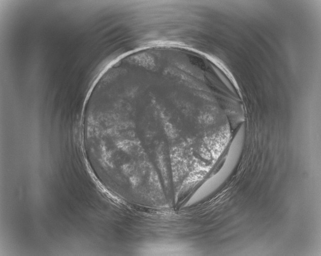 X0000051860911200507221853