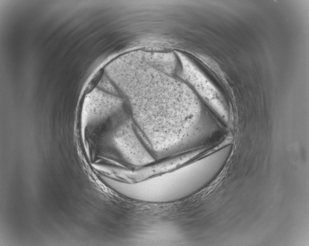 X0000051860912200507221853