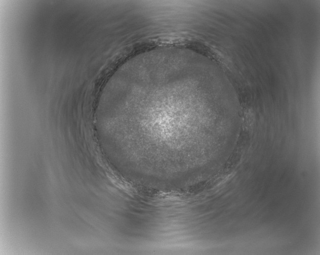 X0000051860913200507221853