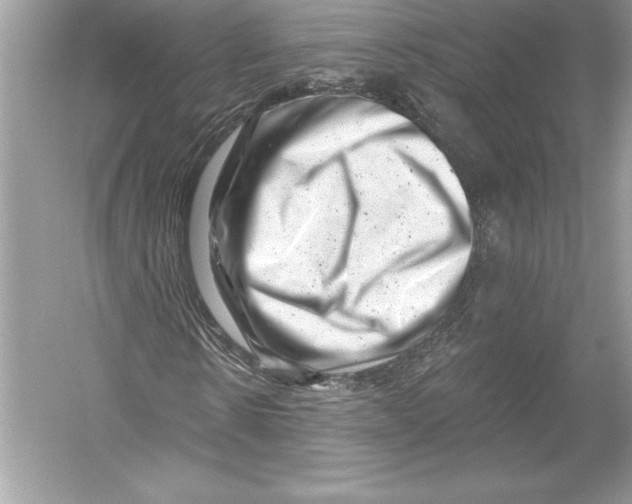 X0000051860914200507221853