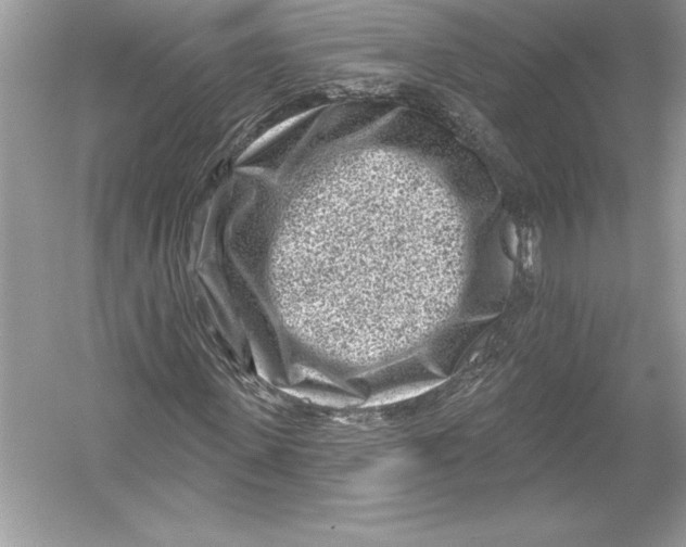 X0000051860915200507221853