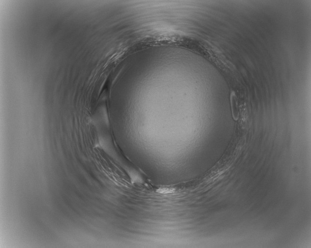 X0000051860916200507221853