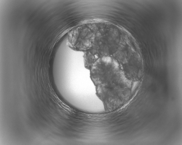 X0000051860921200507221853