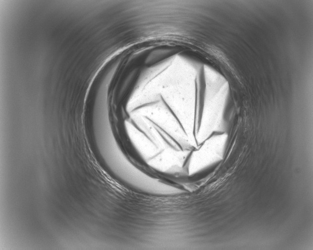 X0000051860924200507221853