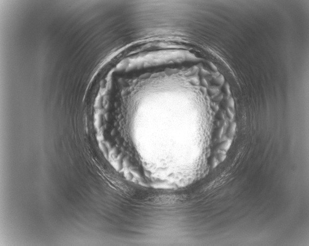 X0000051860925200507221853